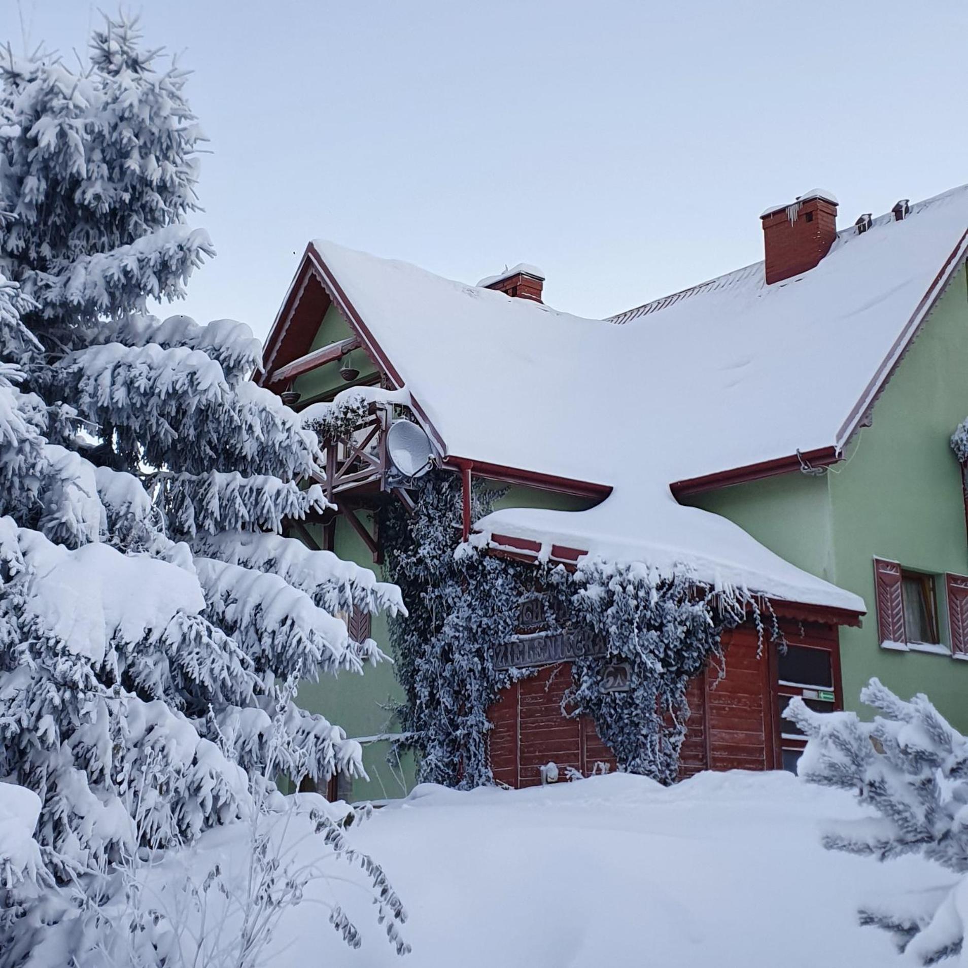 Chata Zieleniecka Bed & Breakfast Duszniki Zdrój Dış mekan fotoğraf