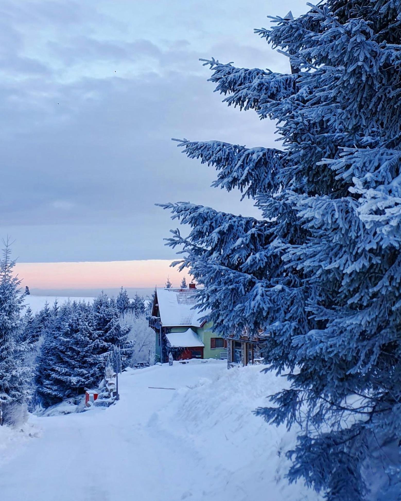 Chata Zieleniecka Bed & Breakfast Duszniki Zdrój Dış mekan fotoğraf