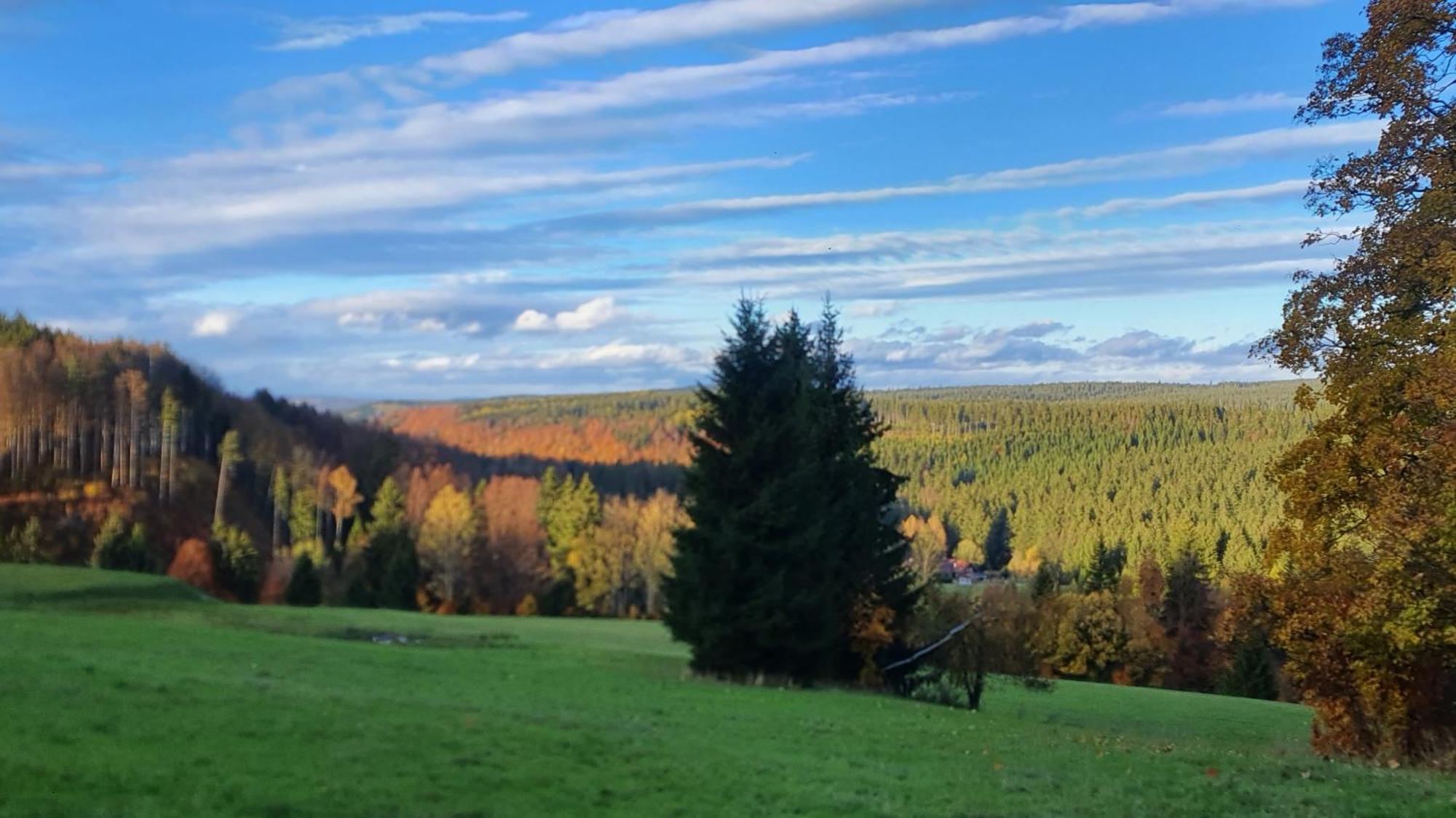 Chata Zieleniecka Bed & Breakfast Duszniki Zdrój Dış mekan fotoğraf