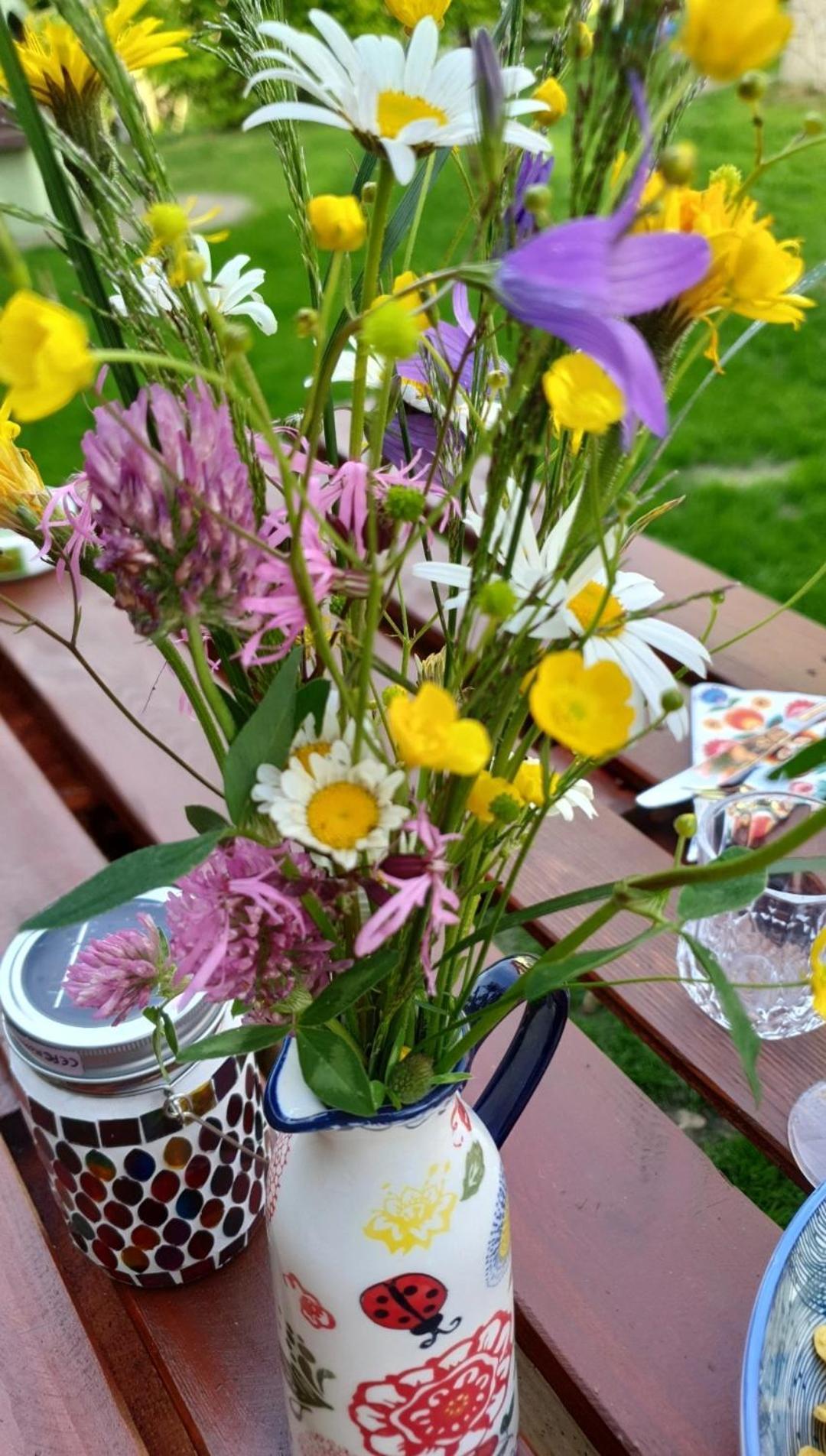 Chata Zieleniecka Bed & Breakfast Duszniki Zdrój Dış mekan fotoğraf