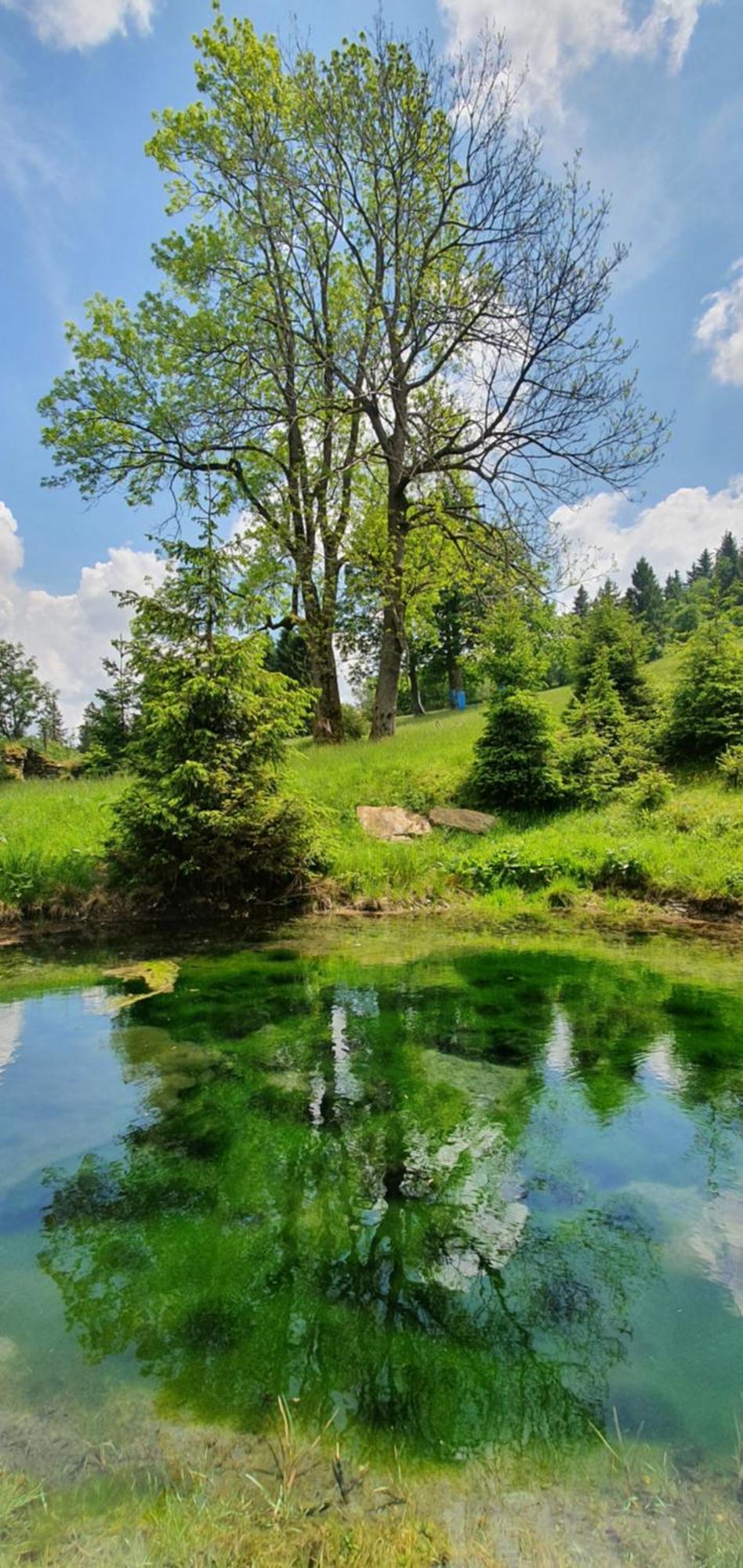 Chata Zieleniecka Bed & Breakfast Duszniki Zdrój Dış mekan fotoğraf