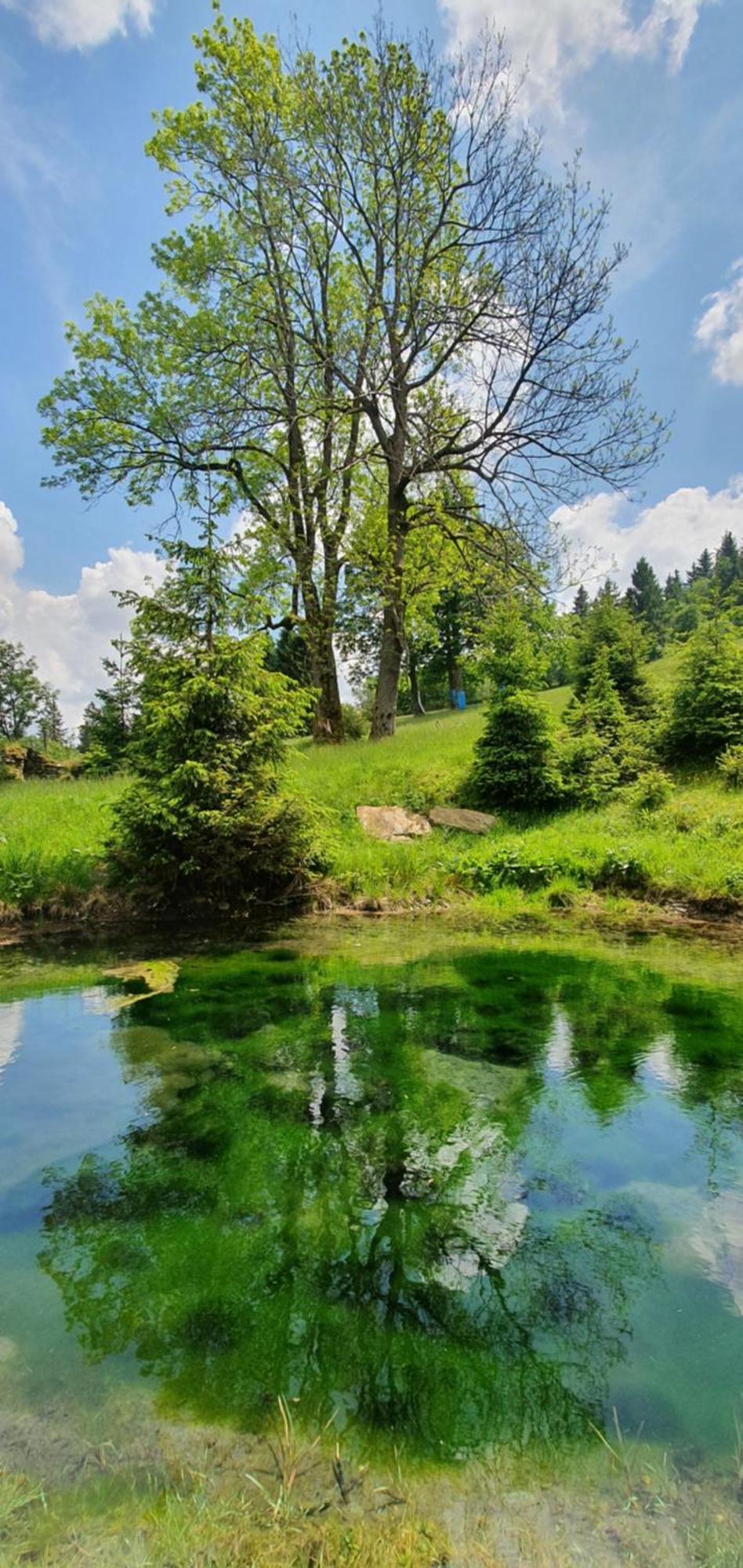 Chata Zieleniecka Duszniki Zdrój Dış mekan fotoğraf